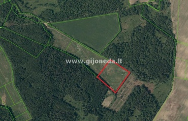 Sklypas,  Radailių k.