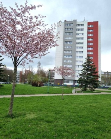 1r. apartments,  Klaipėda, Taikos pr.