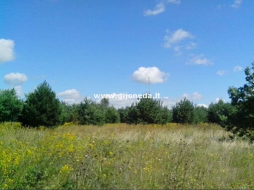 Sklypas,  Kisinių k.